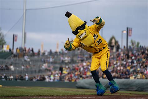 Baseball bananas - May 8, 2022 · Keeping up in a ‘TikTok world’. Jesse Cole, center, hypes up the crowd. Savannah Bananas. Right now, the Savannah Bananas actually consist of two teams: …